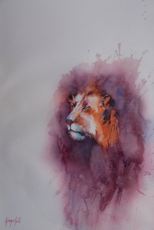 lion 7 by Giorgio Gosti