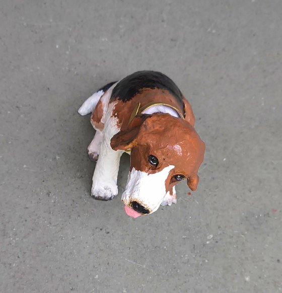 Head Turning Beagle