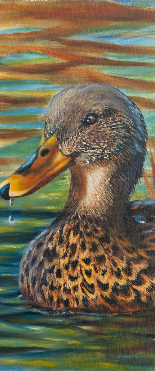 Duck 2 by Norma Beatriz Zaro