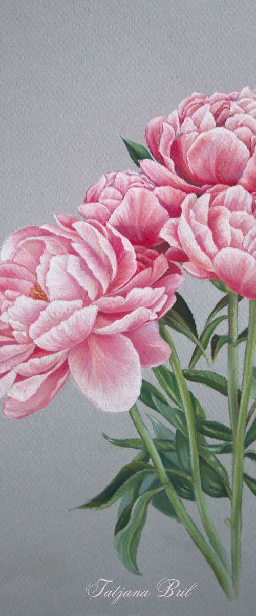 Pastel Peonies by Tatjana Bril