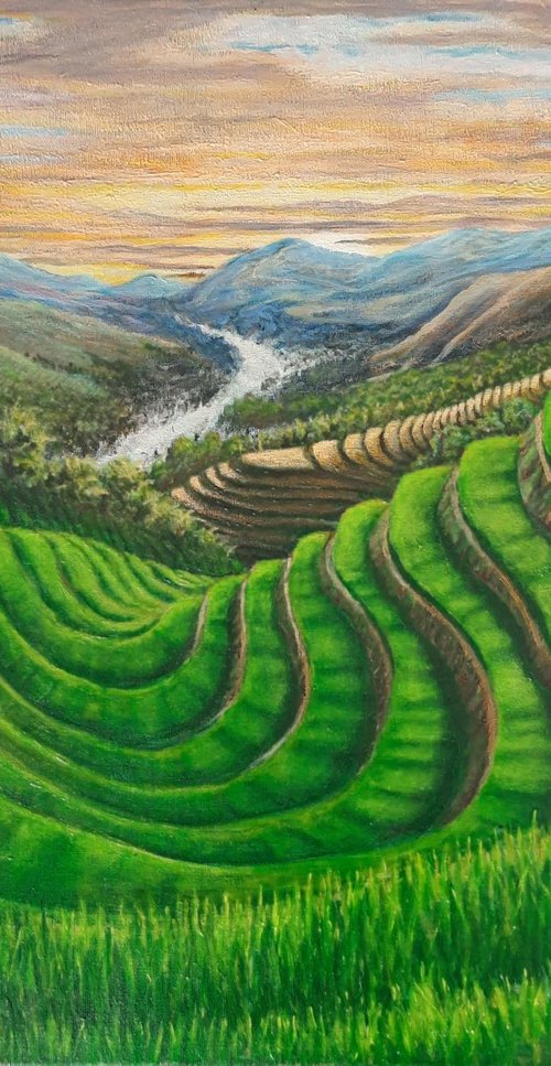 Sunrise over Sapa by John Howes