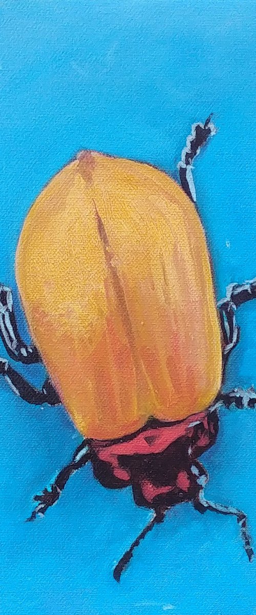 Royal Gold - Beetle oil painting, insect painting by Jason Edward Doucette
