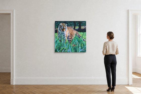 Amur Tiger - First Encounter