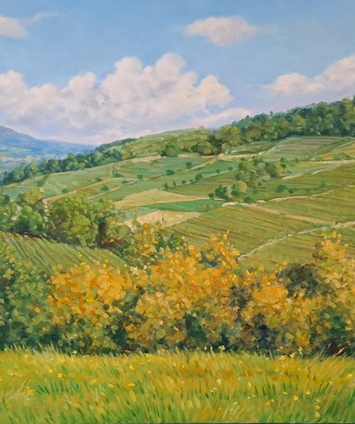 Langhe landscape by Claudio Ciardi