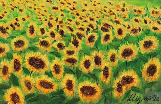 Sunflowers field