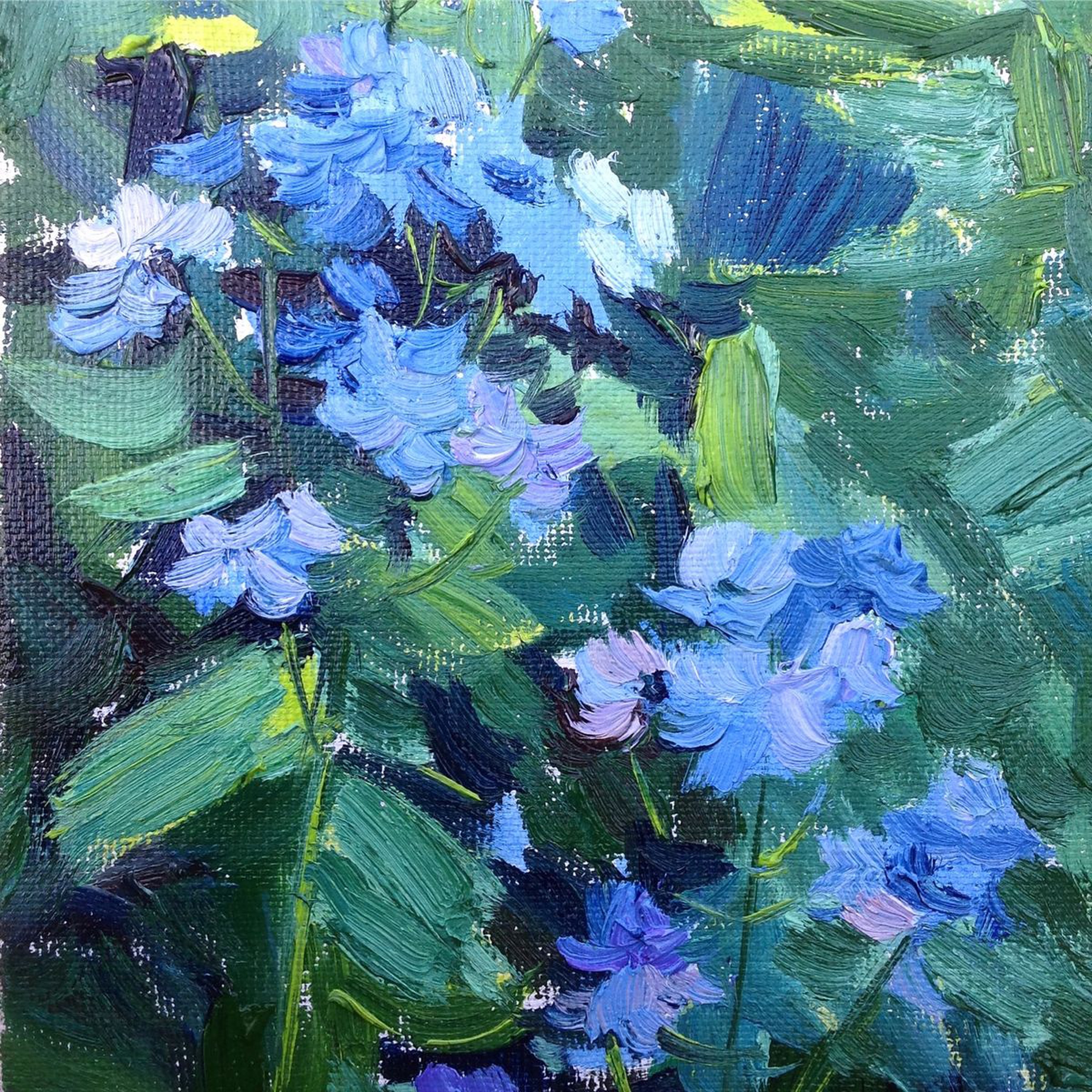 Forget Me Not Spring Flowers Original Oil Pain Artfinder