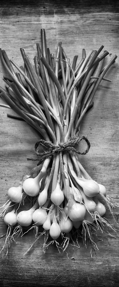 Spring Onions by Stephen Hodgetts Photography