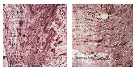 Set of 2 «Galaxy Garden»