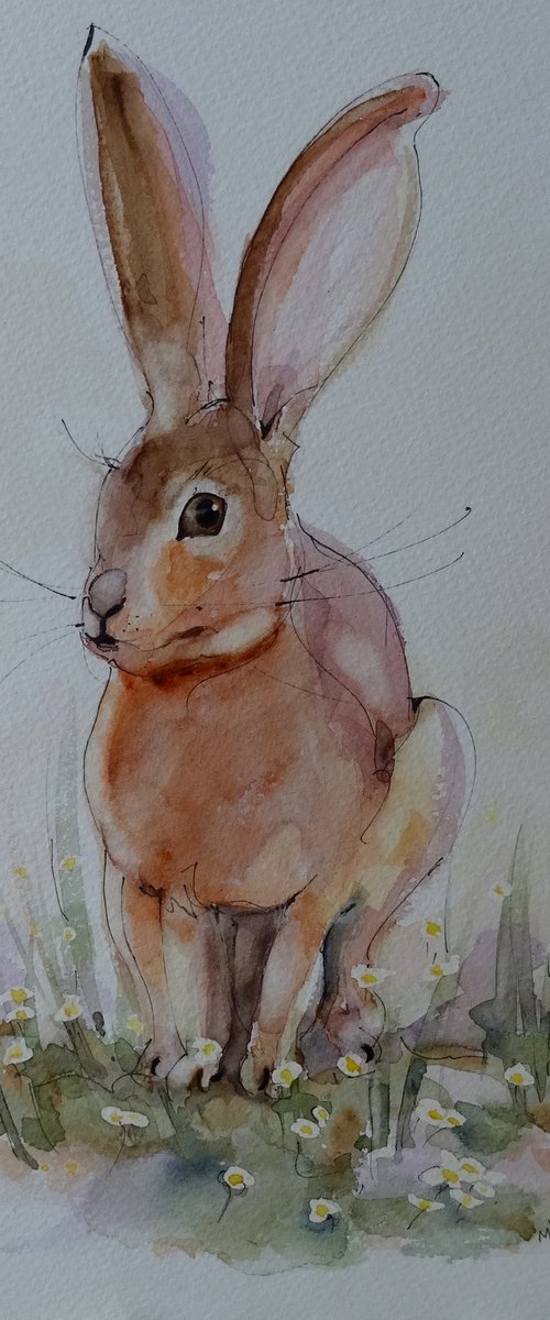 Baby faced hare by Mel Davies Original Art