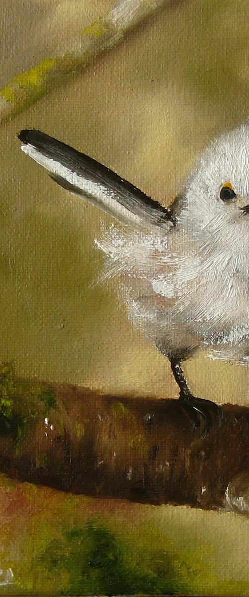 Fluffy Small White Bird Painting Original Animal Art, Pretty Birds Wall Art, Gift for Long-tailed Tit Lovers, Farmhouse Decorations Xmas Art by Natalia Shaykina
