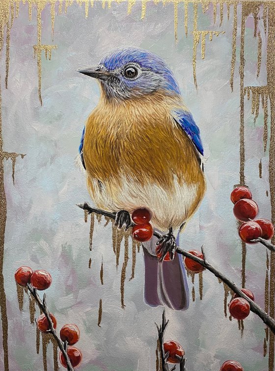 Bluebird on red berries