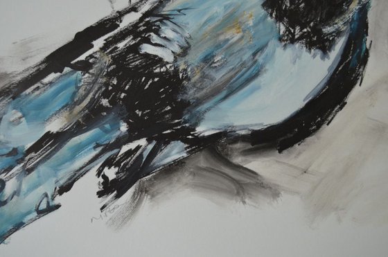 Magpie Study Two