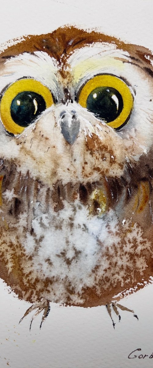 Charming owlet by Eugenia Gorbacheva