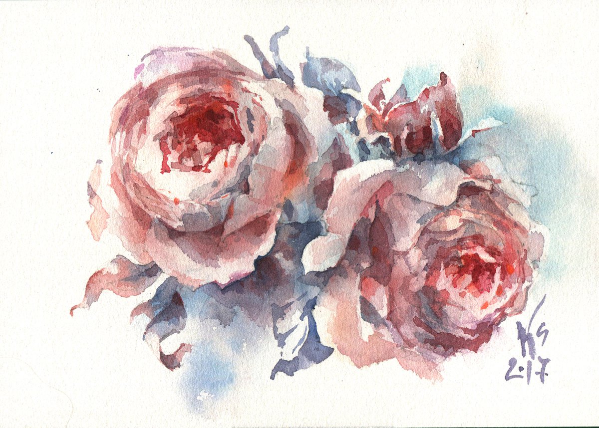 Romantic composition with blooming English roses original watercolor sketch small format by Ksenia Selianko