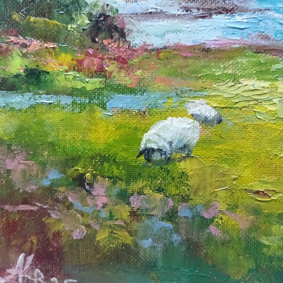 Scottish landscape with sheep