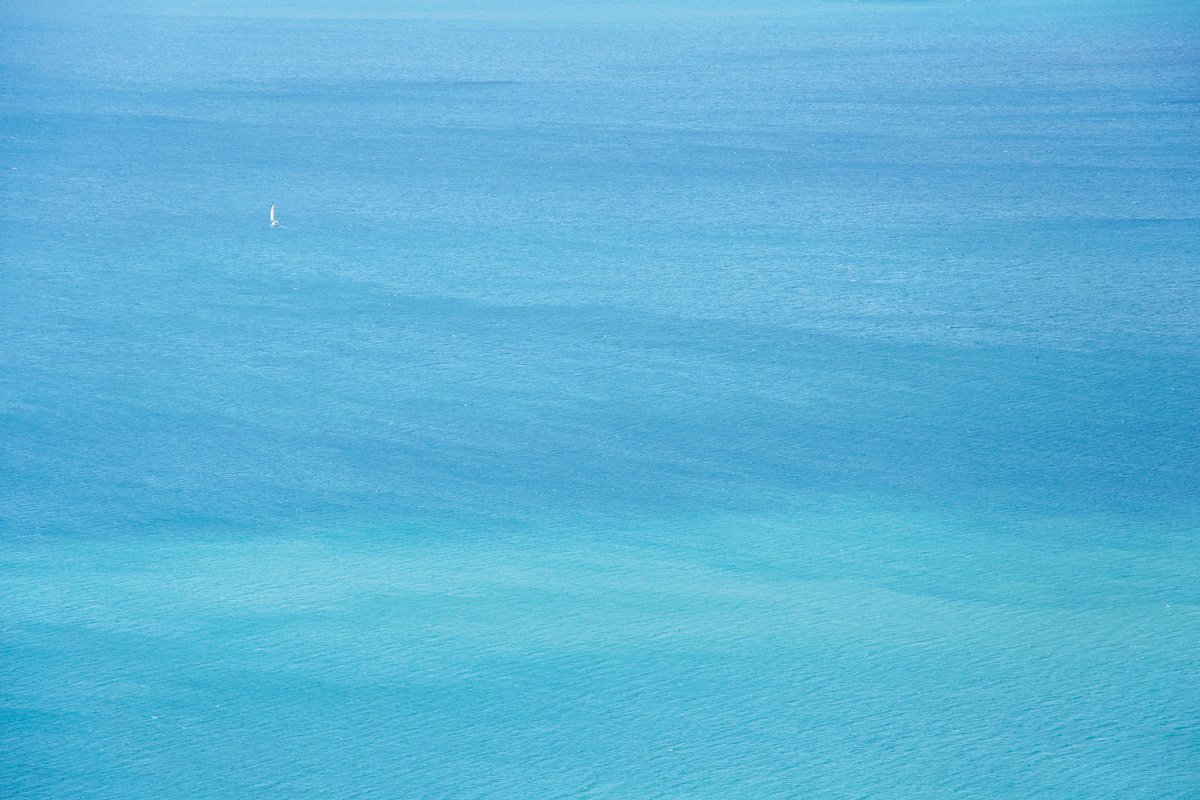 Surrealistic Landscape Photograph By Journey Gong, 24 X 16", Ever After, Original Artwork