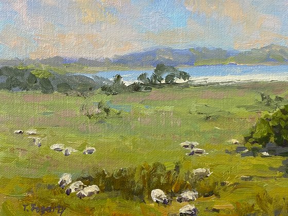 Grazing Sheep At Mission Ranch in Carmel-by-the-Sea