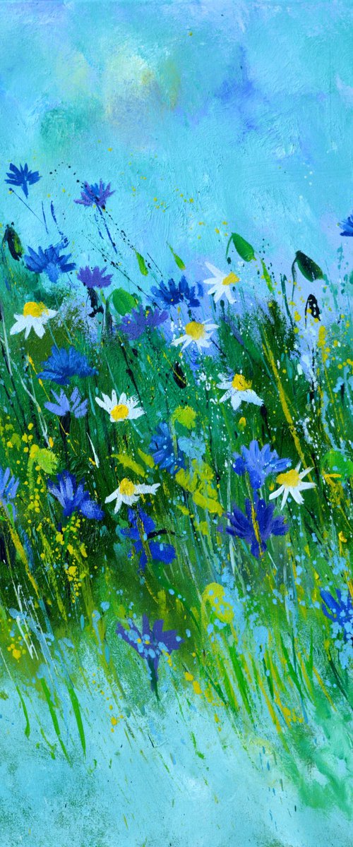 Wild flowers    -  5623 by Pol Henry Ledent