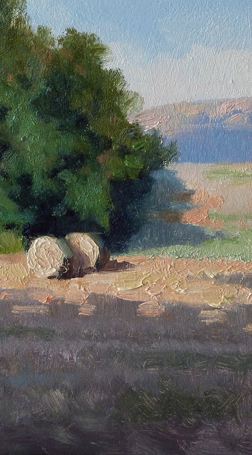 Hay Bales by Pascal Giroud