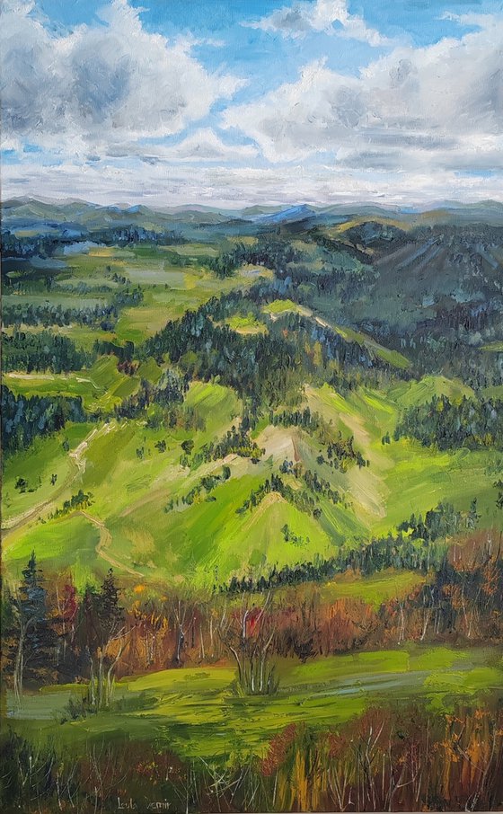 Mountains Painting Original Art National Park Forest and fields 20x32''