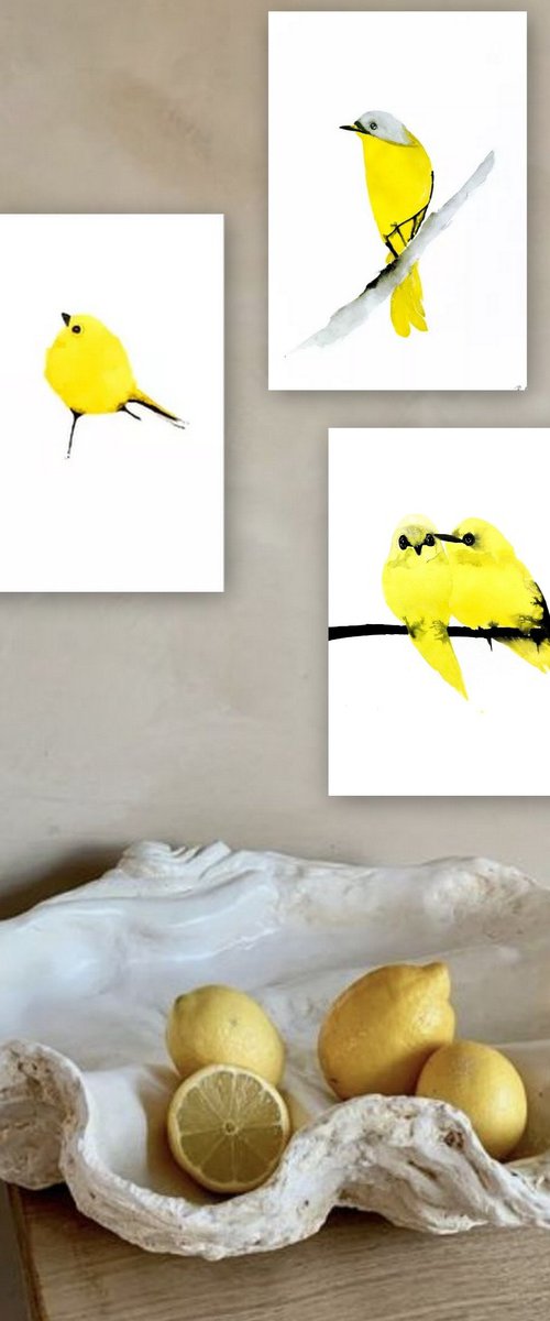 Birds by Nadia Moniatis