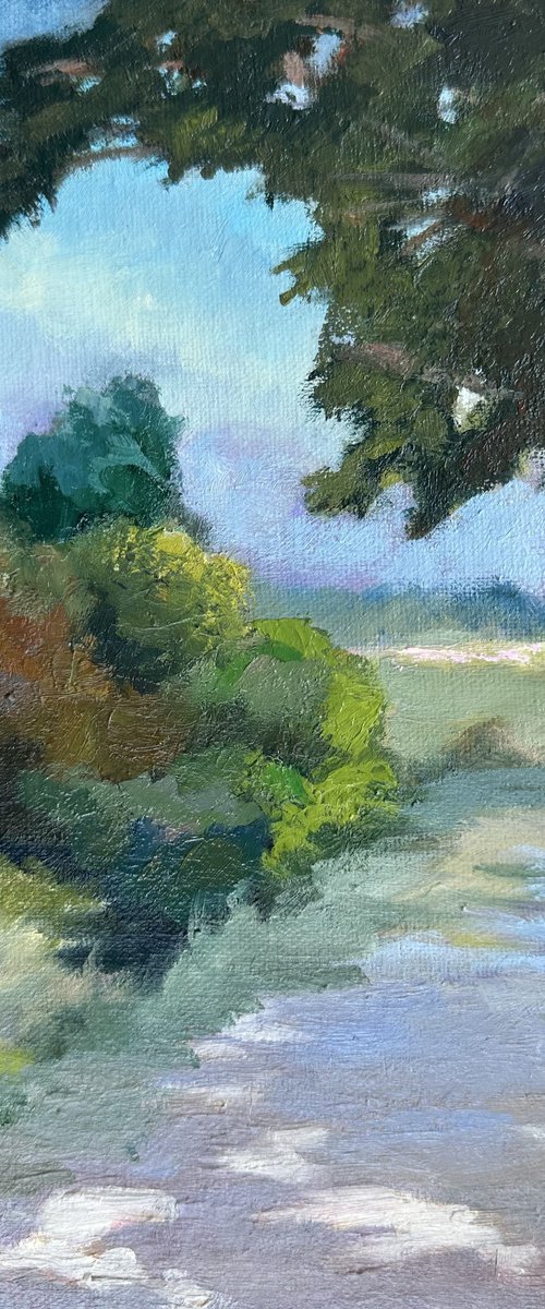 Country Path by Grace Diehl