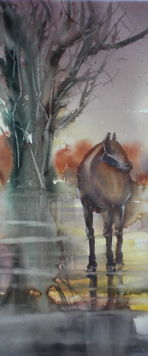 horse by Giorgio Gosti