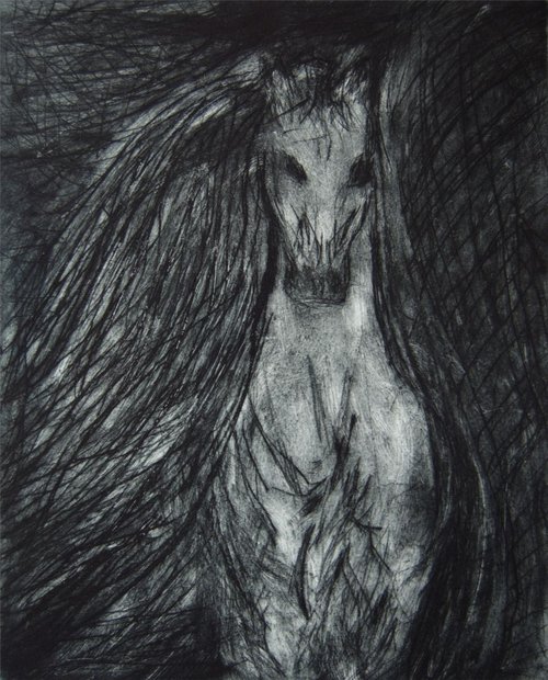 Wild Horse by Lolana