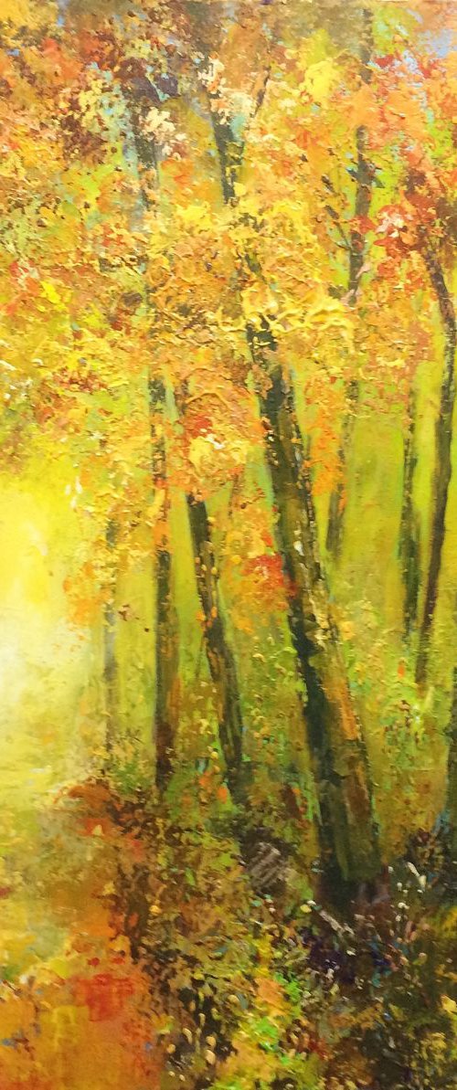 Autumn Light by Colette Baumback