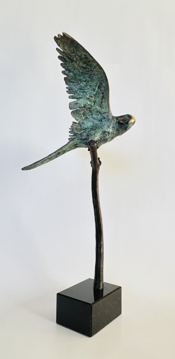 Echoes Above the Horizon, no. 3/8