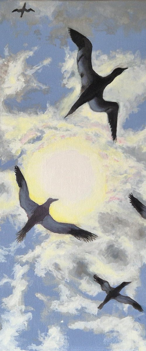Into the Light by Chris Marshall
