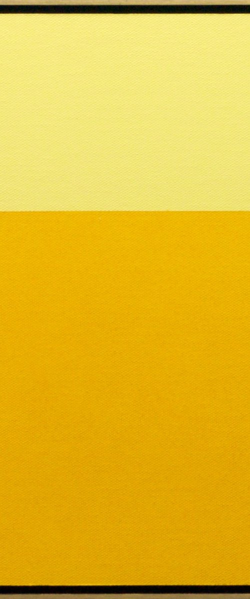 CITRINE by Rich Moyers