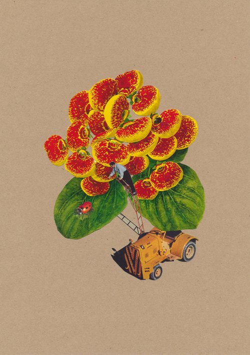 The Little Gardener by Paper Draper