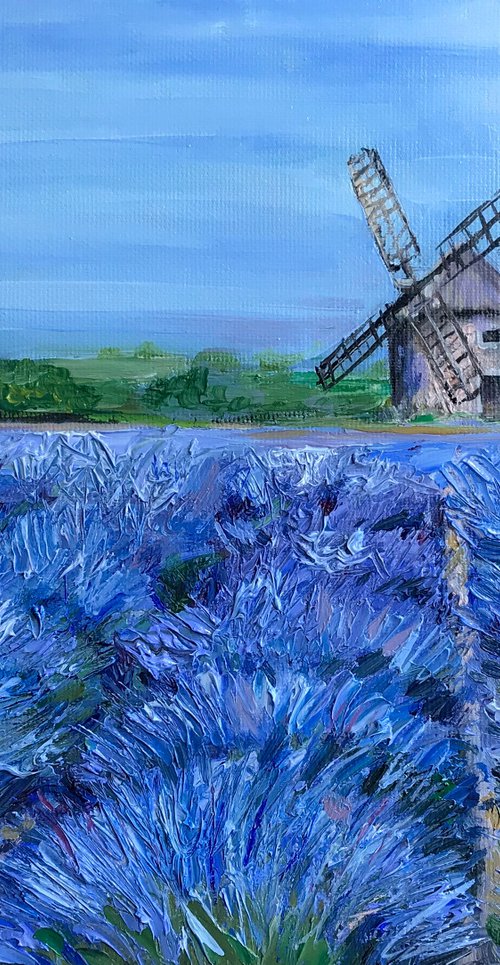 Provence Lavender Field landscape oil painting 22x28cm by Leysan Khasanova
