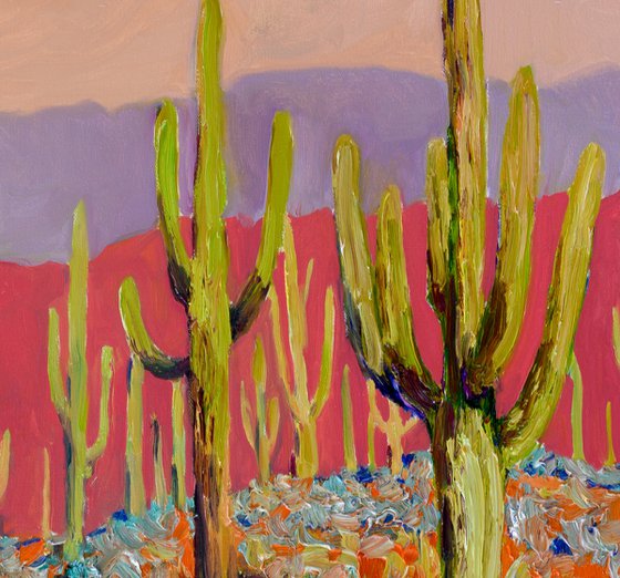 Warm Evening, Saguaros