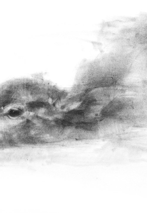 Water Buffalo 2 by Tianyin Wang