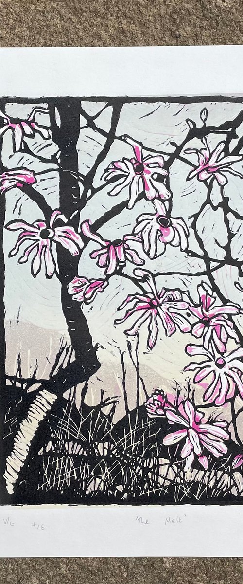 The Melt - Magnolia Blossom Contemporary Linocut Print by C Staunton