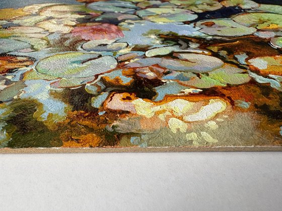 Autumn lilies.