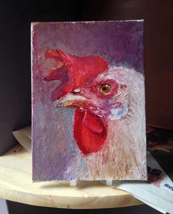 Portrait of a Chicken