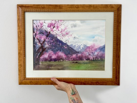 Spring in the mountains of Tibet