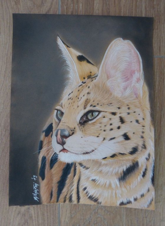 Serval