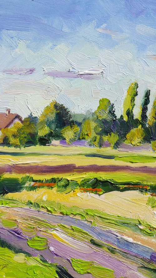 Plein air 21-06-2017 (countryside, summer evening) by Dima Braga