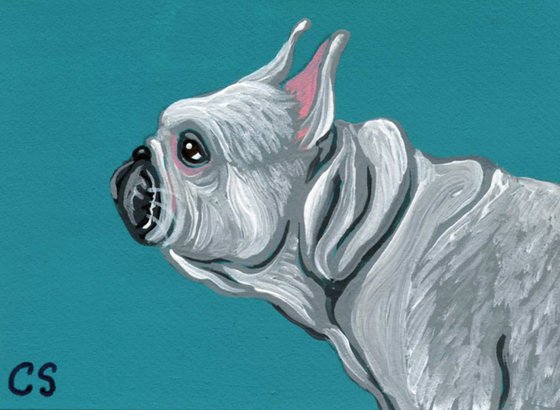 ACEO ATC Original Miniature Painting White French Bulldog Pet Dog Art-Carla Smale