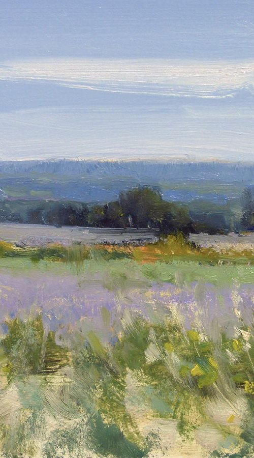 Lavandes en Drôme Provençale by Pascal Giroud
