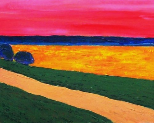 CANOLA FIELD EVENING by David J Edwards