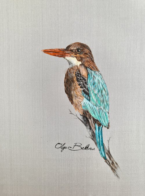 White-throated kingfisher by Olga Belova