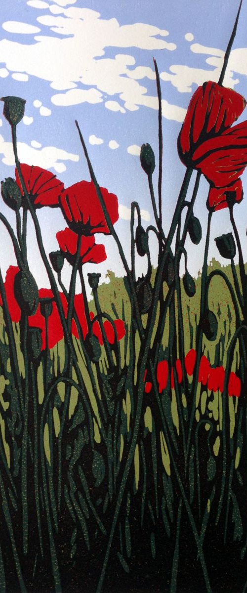 Roadside Poppies by Alexandra Buckle