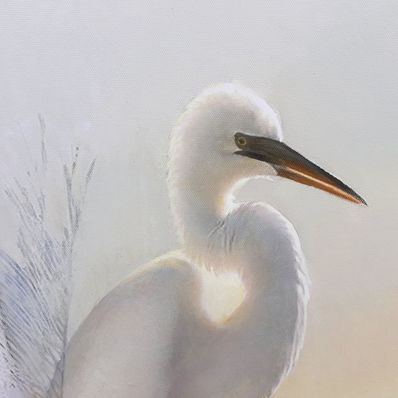 A FAMILY NEST /EGRETS