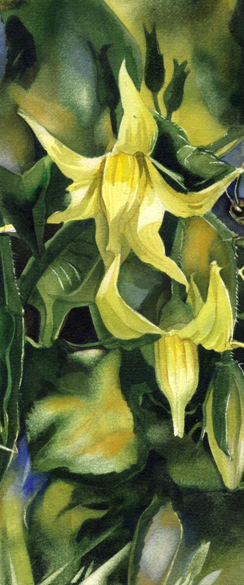 tomato flower with grasshopper by Alfred Ng