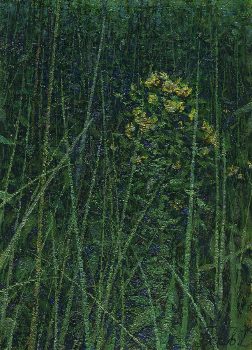 Evening grasses by Daniil Belov